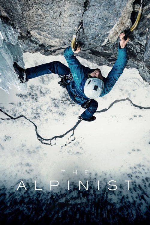 Alpinist: Dağcı